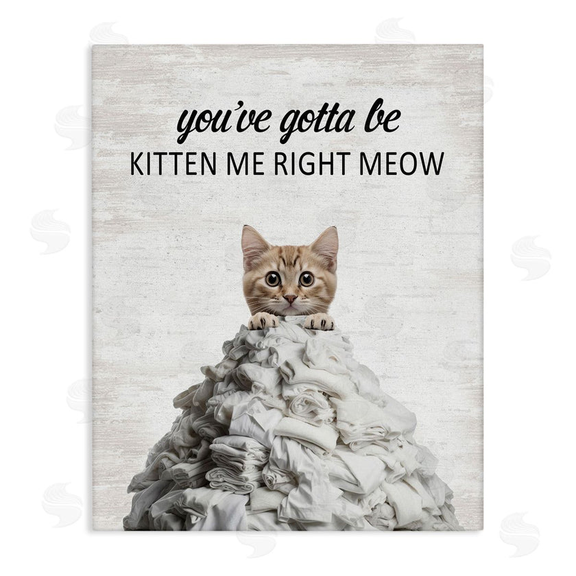 Lettered and Lined | Kitten & Laundry Pile