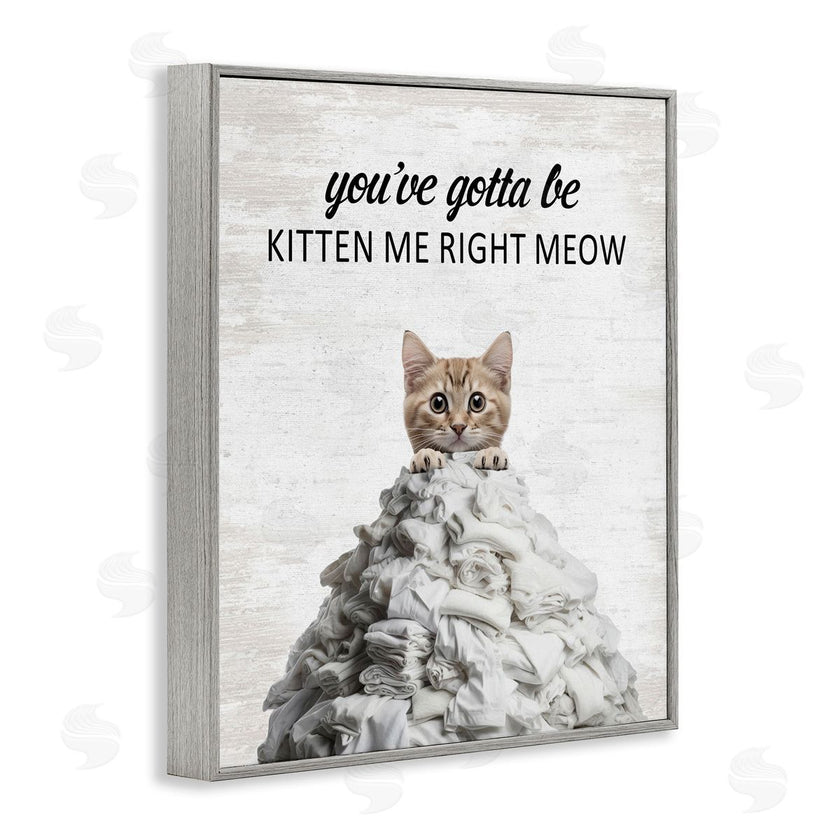 Lettered and Lined | Kitten & Laundry Pile