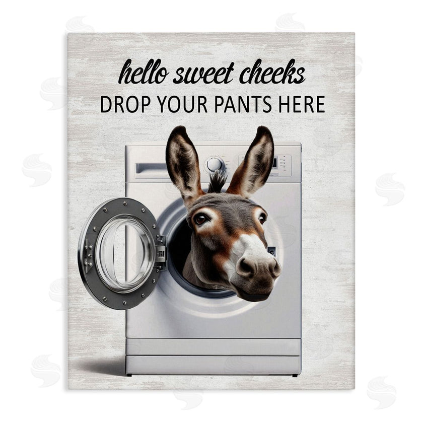 Lettered and Lined | Funny Sweet Cheeks Laundry