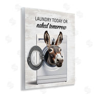 Lettered and Lined | Funny Donkey Washing Machine