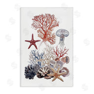 Ramona Murdock | Aquatic Animals & Coral