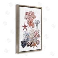 Ramona Murdock | Aquatic Animals & Coral