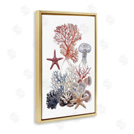 Ramona Murdock | Aquatic Animals & Coral