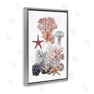 Ramona Murdock | Aquatic Animals & Coral