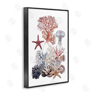 Ramona Murdock | Aquatic Animals & Coral