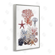 Ramona Murdock | Aquatic Animals & Coral