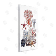 Ramona Murdock | Aquatic Animals & Coral