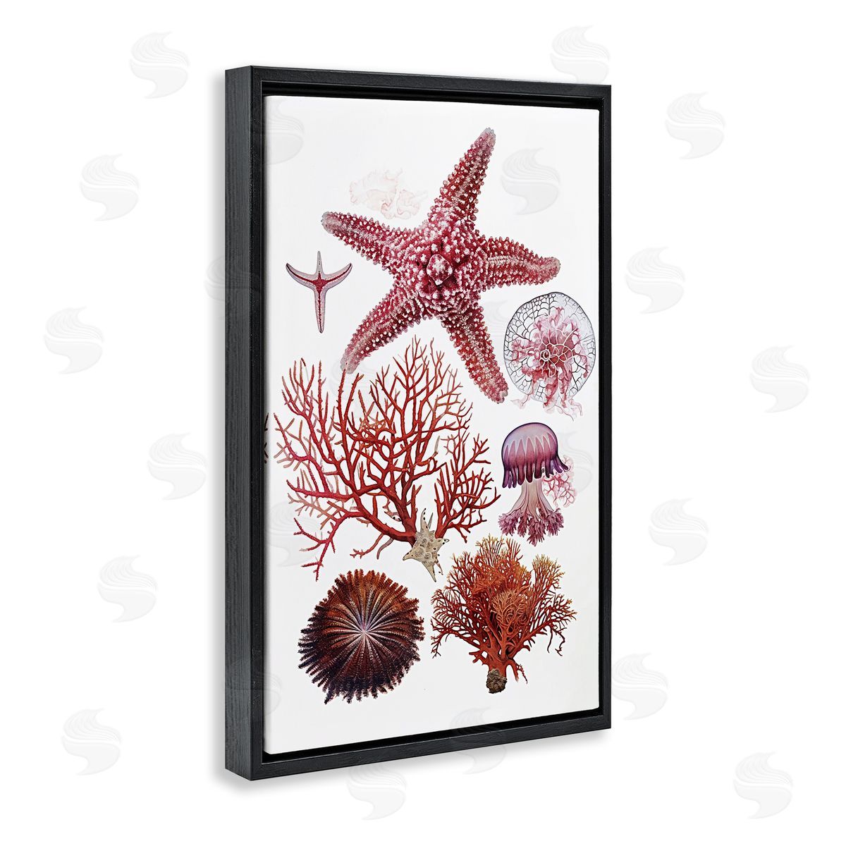 Rosy Undersea Creatures Black Floating Frame Canvas Wall Art, Home Decor by Ramona Murdock