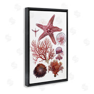 Ramona Murdock | Rosy Undersea Creatures