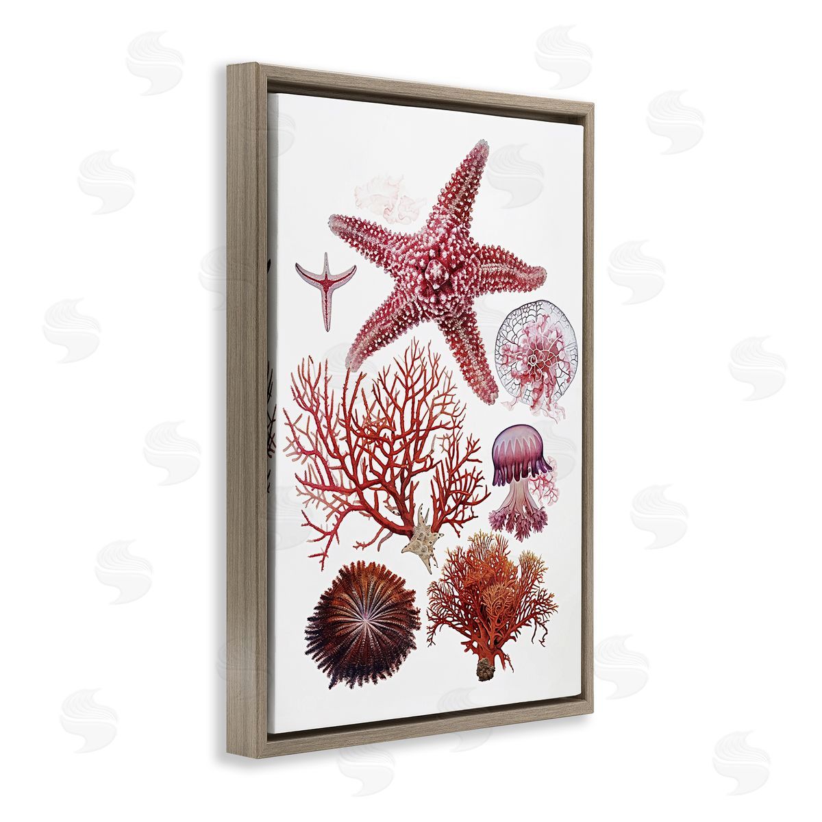 Rosy Undersea Creatures Brown Floating Frame Canvas Wall Art, Home Decor by Ramona Murdock