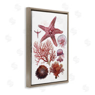 Ramona Murdock | Rosy Undersea Creatures
