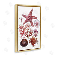 Ramona Murdock | Rosy Undersea Creatures