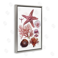 Ramona Murdock | Rosy Undersea Creatures