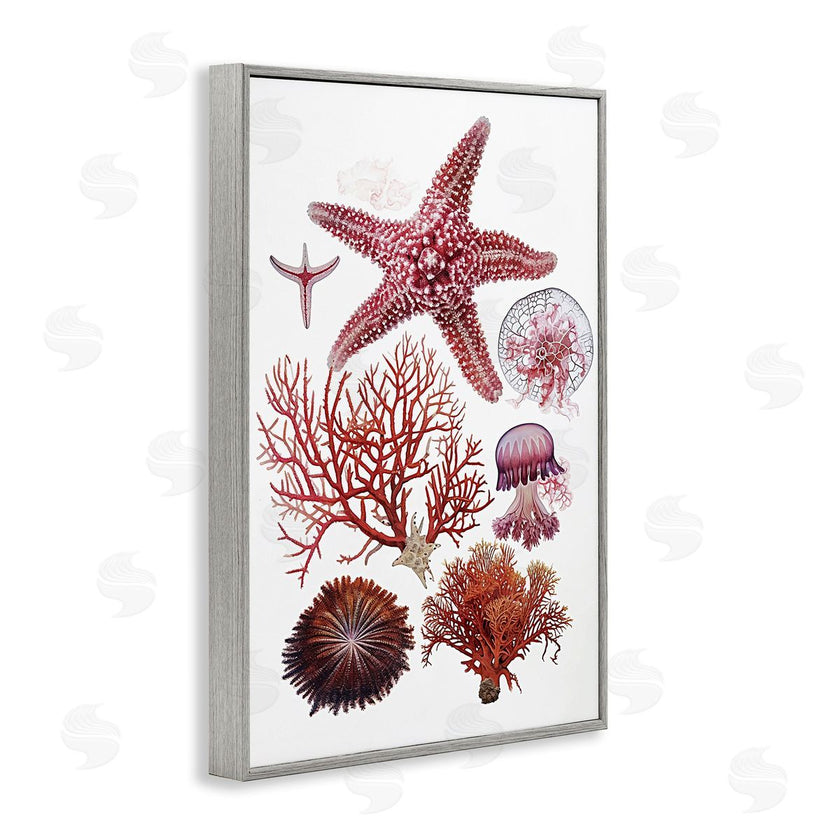 Ramona Murdock | Rosy Undersea Creatures