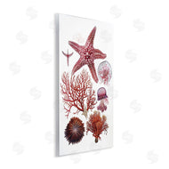 Ramona Murdock | Rosy Undersea Creatures