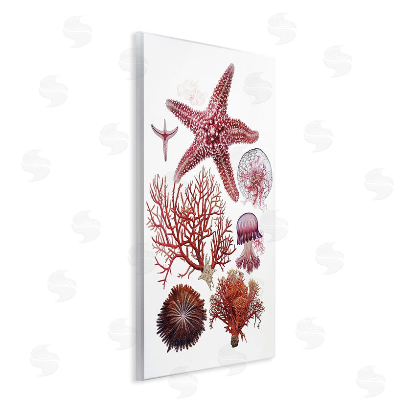 Ramona Murdock | Rosy Undersea Creatures