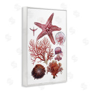 Ramona Murdock | Rosy Undersea Creatures
