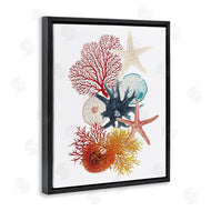 Ramona Murdock | Coral & Undersea Creatures