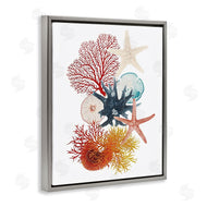 Ramona Murdock | Coral & Undersea Creatures