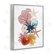 Ramona Murdock | Coral & Undersea Creatures