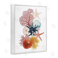 Ramona Murdock | Coral & Undersea Creatures