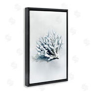 Ramona Murdock | Subtle Staghorn Coral