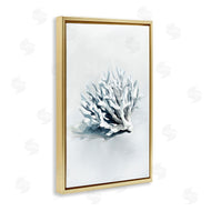 Ramona Murdock | Subtle Staghorn Coral