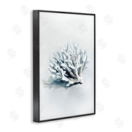Ramona Murdock | Subtle Staghorn Coral