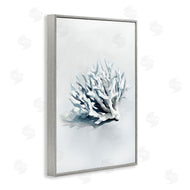 Ramona Murdock | Subtle Staghorn Coral