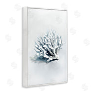 Ramona Murdock | Subtle Staghorn Coral