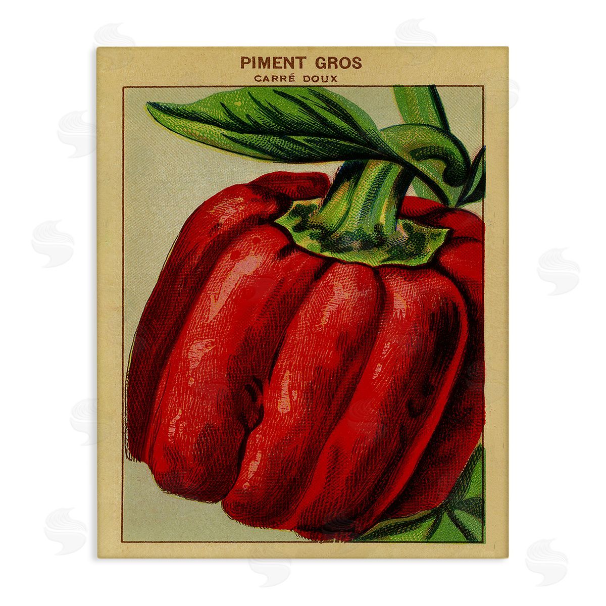 Country Vintage Pepper Canvas Wall Art, Home Decor by Stupell Studio