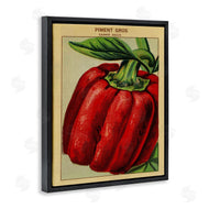Stupell Studio | Country Vintage Pepper