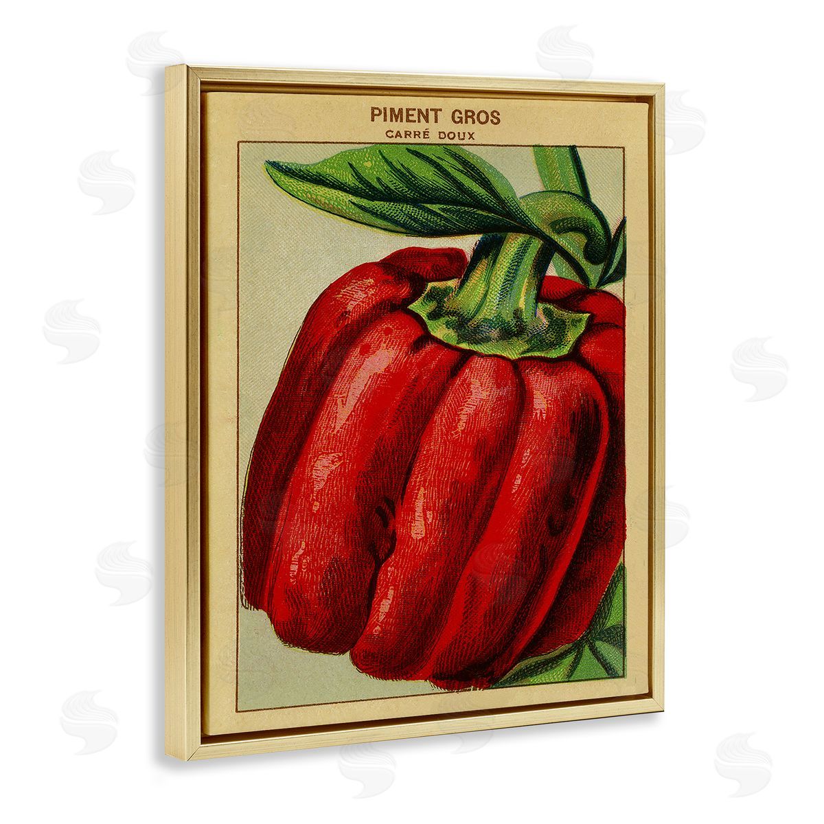 Country Vintage Pepper Gold Floating Frame Canvas Wall Art, Home Decor by Stupell Studio