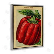Stupell Studio | Country Vintage Pepper