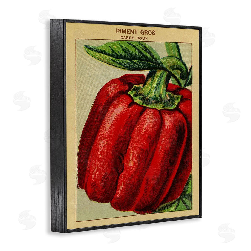 Stupell Studio | Country Vintage Pepper