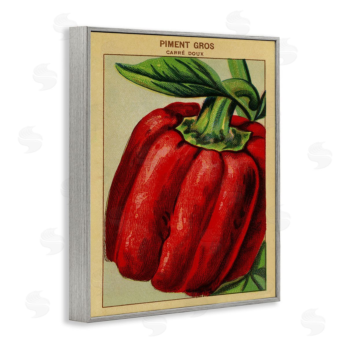 Country Vintage Pepper Grey Frame Print Wall Art, Home Decor by Stupell Studio