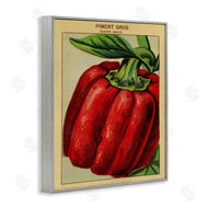 Stupell Studio | Country Vintage Pepper