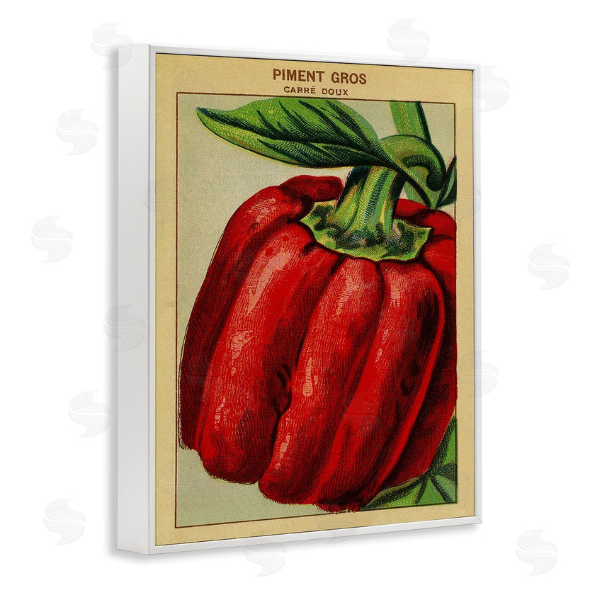 Stupell Studio | Country Vintage Pepper