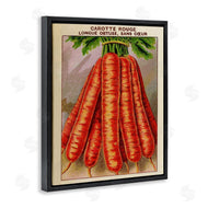Stupell Studio | Country Vintage Carrots