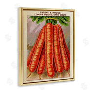 Stupell Studio | Country Vintage Carrots