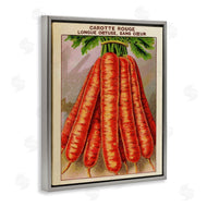 Stupell Studio | Country Vintage Carrots