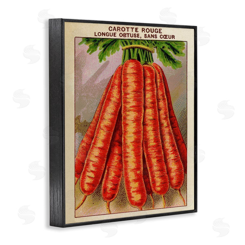 Stupell Studio | Country Vintage Carrots