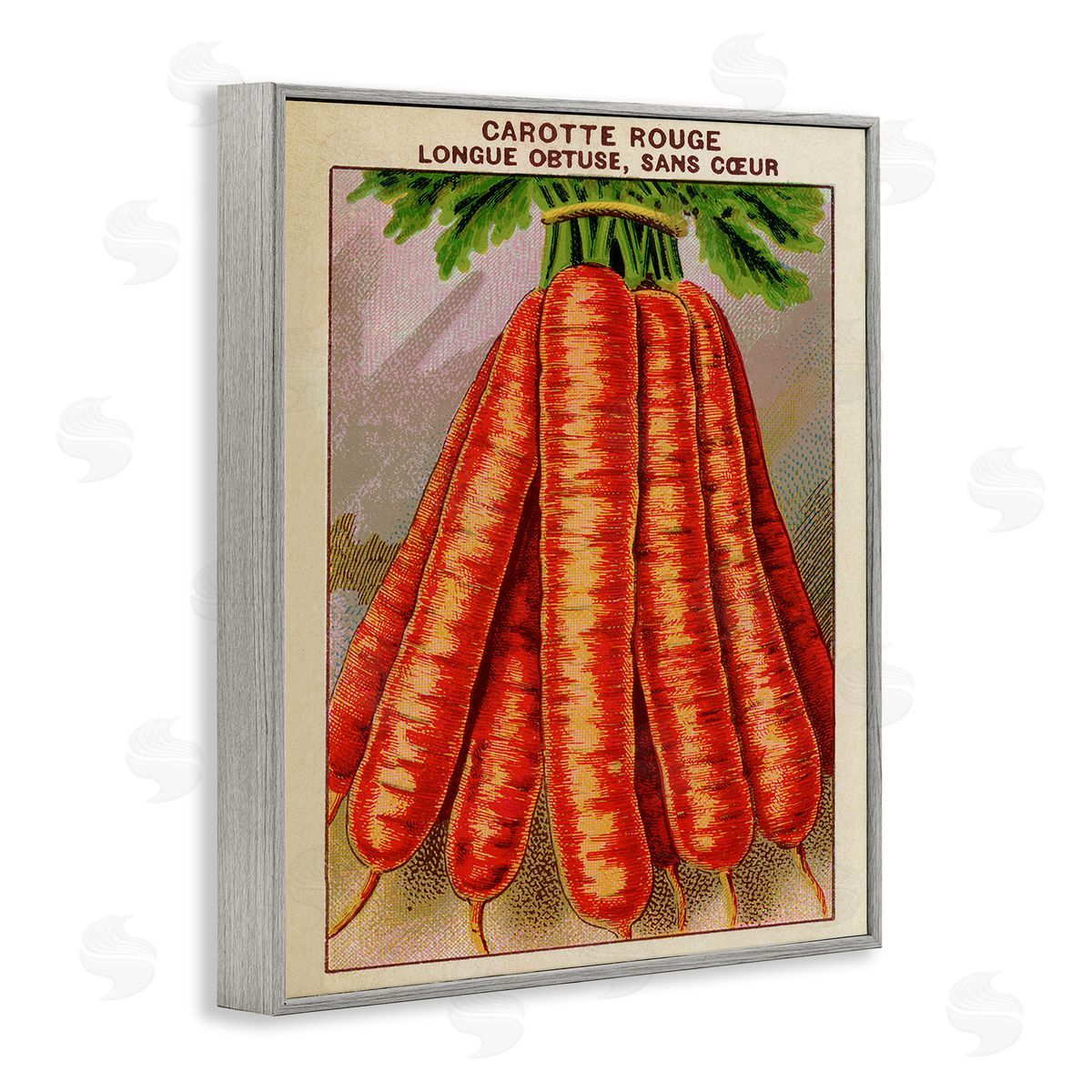 Country Vintage Carrots Grey Frame Print Wall Art, Home Decor by Stupell Studio