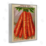 Stupell Studio | Country Vintage Carrots