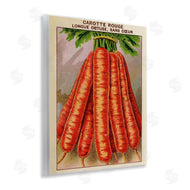 Stupell Studio | Country Vintage Carrots