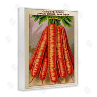 Stupell Studio | Country Vintage Carrots