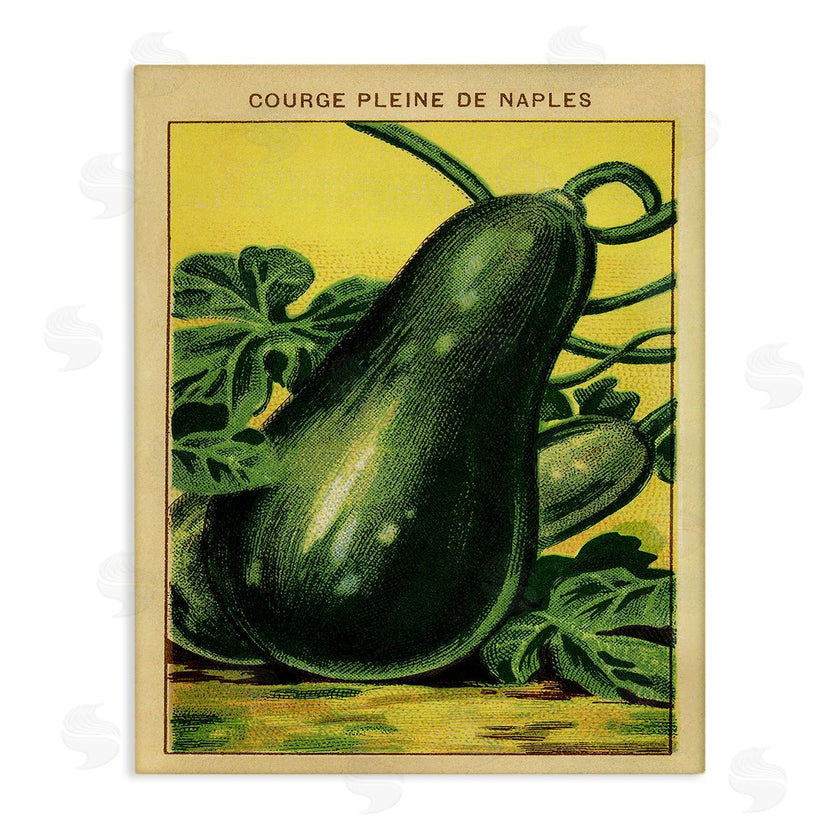 Stupell Studio | Country Vintage Squash
