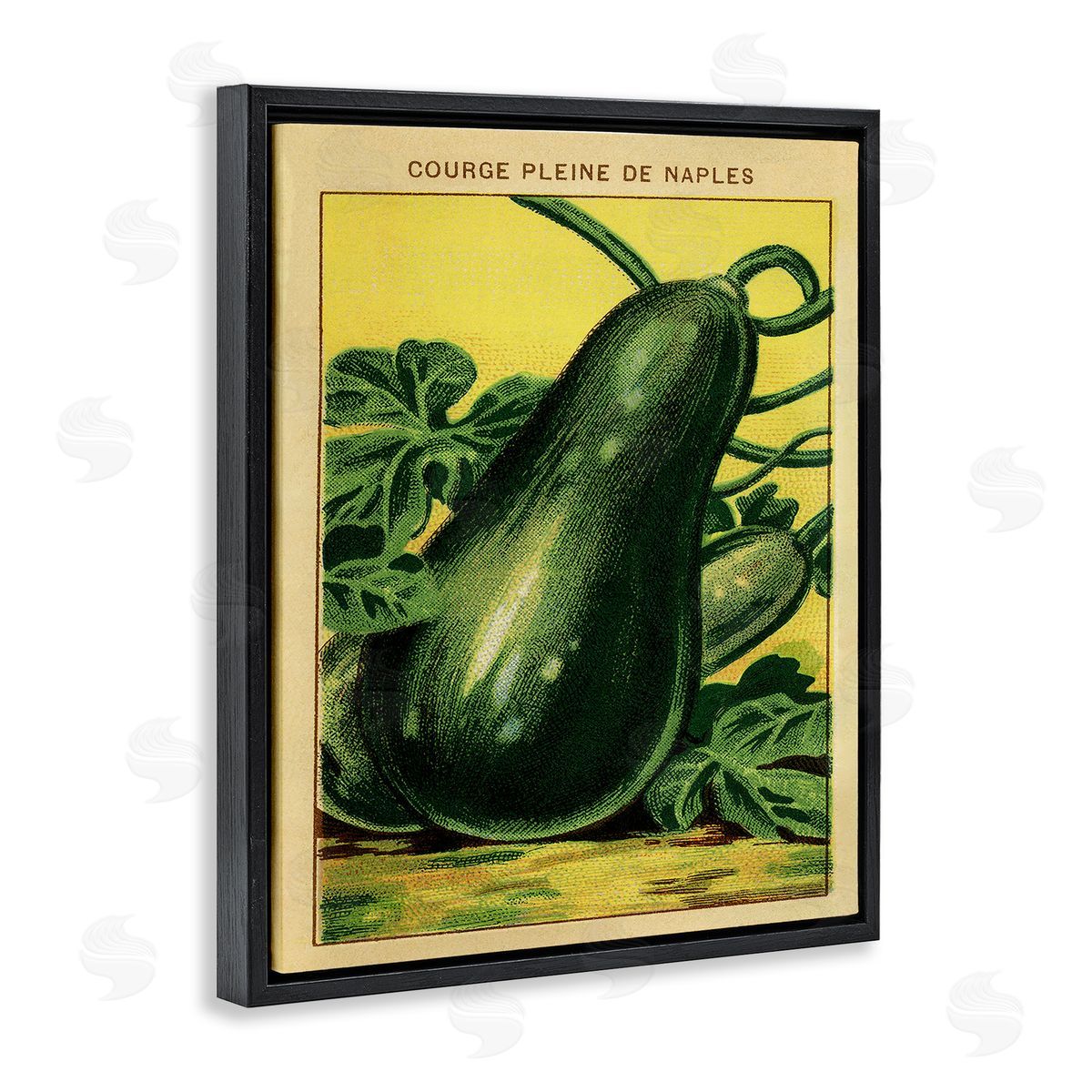 Country Vintage Squash Black Floating Frame Canvas Wall Art, Home Decor by Stupell Studio