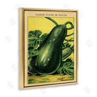 Stupell Studio | Country Vintage Squash