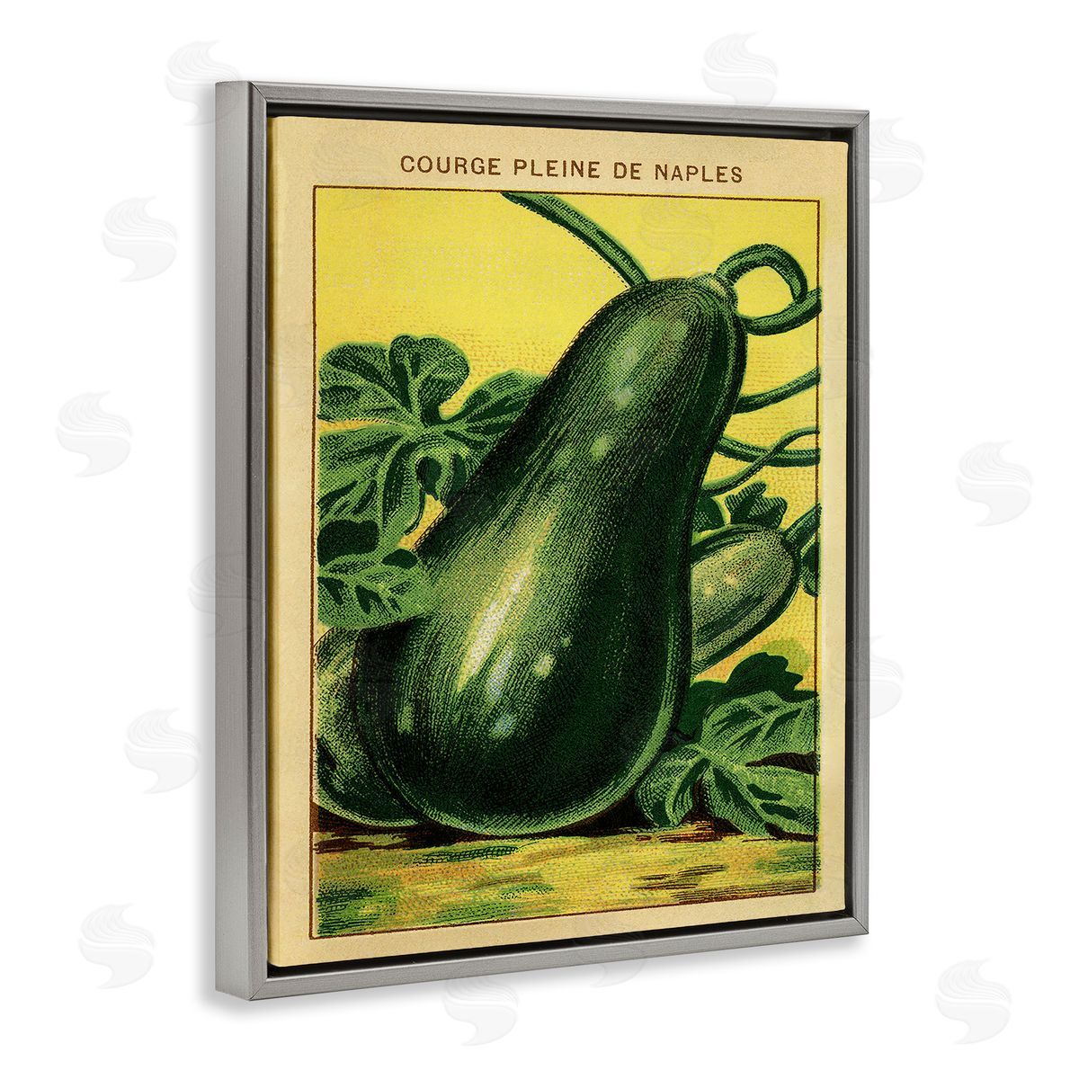 Country Vintage Squash Grey Floating Frame Canvas Wall Art, Home Decor by Stupell Studio